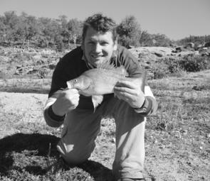 Plenty of golden perch like this have been coming out of Wyangala Dam, especially on bait.